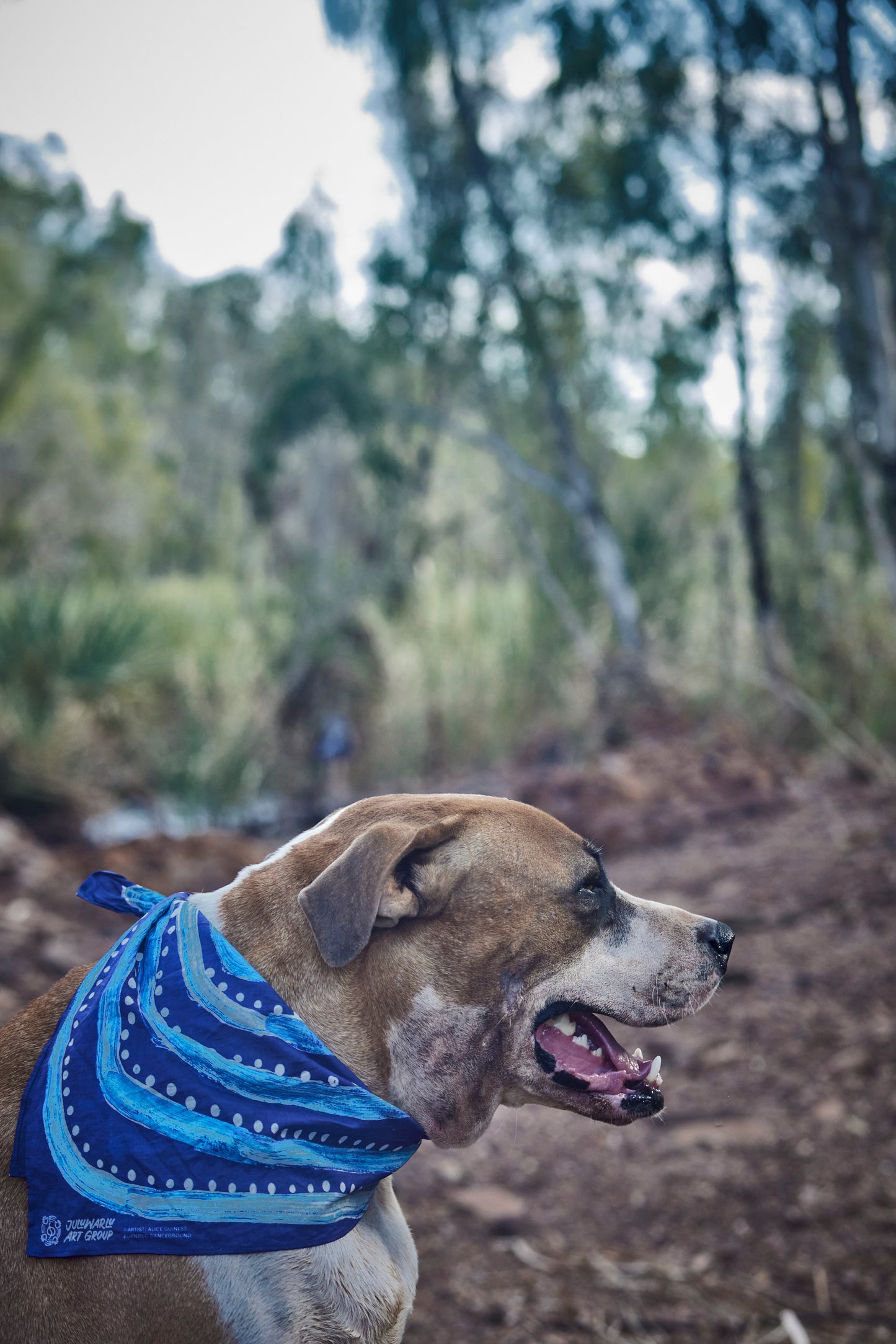 Ngurra Neckerchief- Alice Guiness