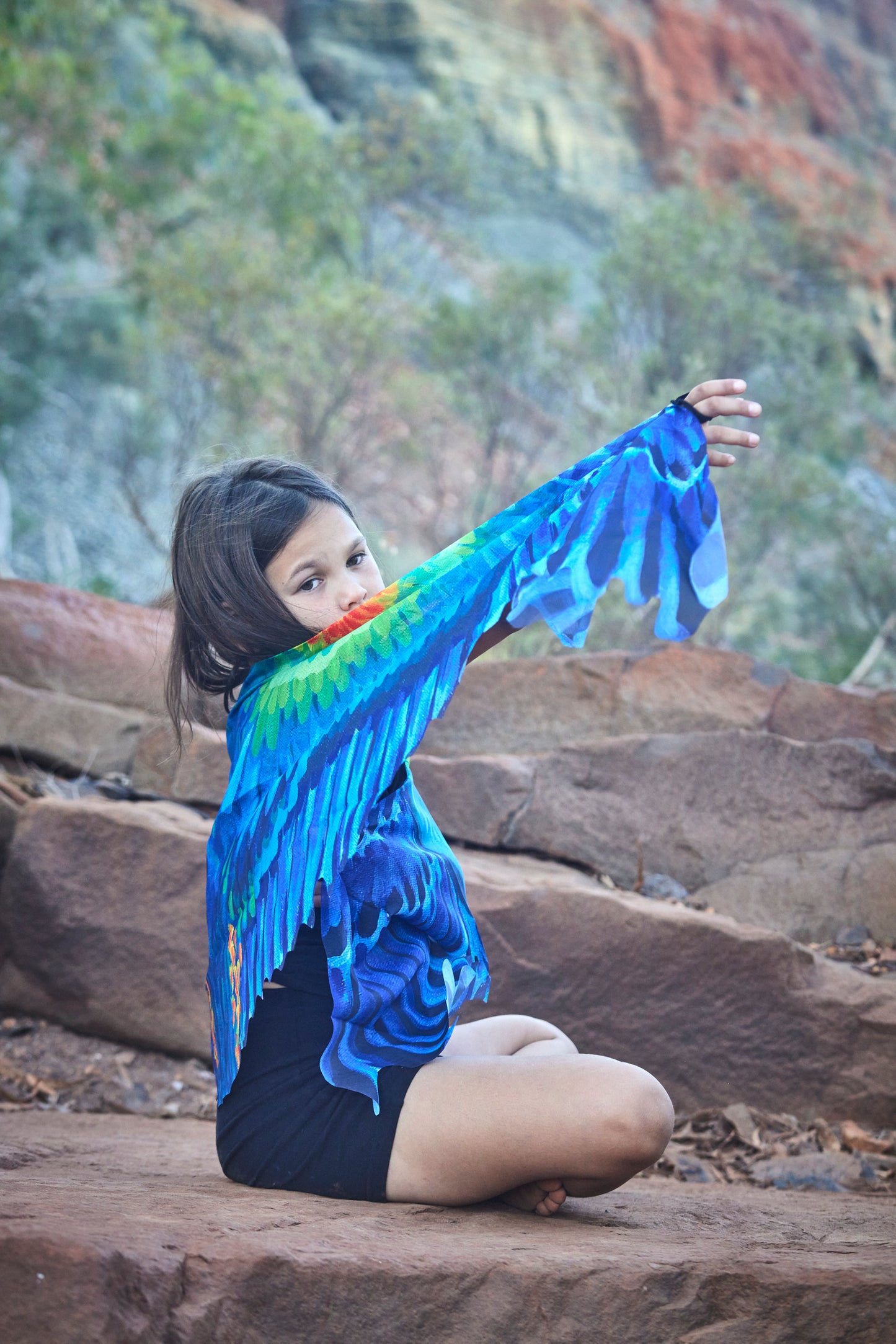Gurrarnkurran Wings (Mulga Parrot)