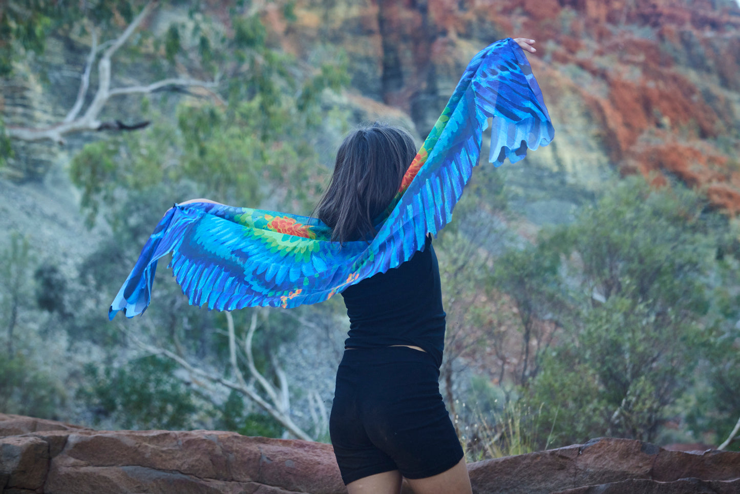 Gurrarnkurran Wings (Mulga Parrot)