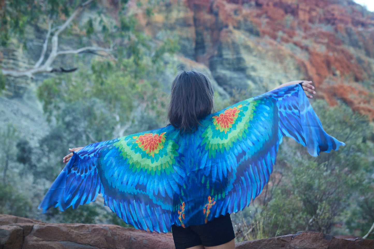 Gurrarnkurran Wings (Mulga Parrot)