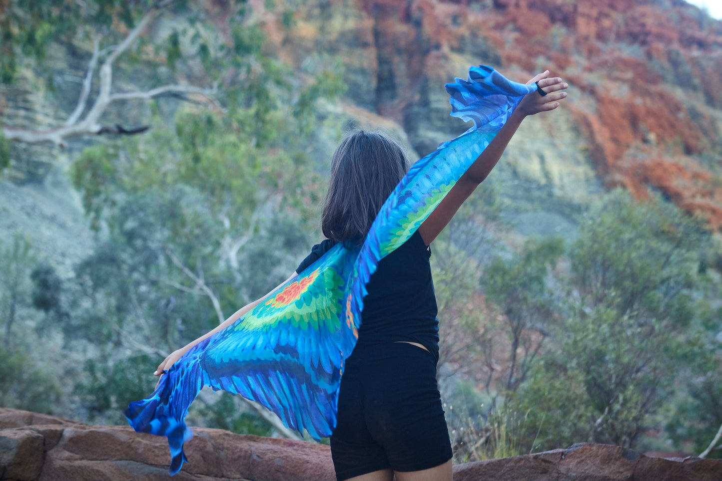 Gurrarnkurran Wings (Mulga Parrot)