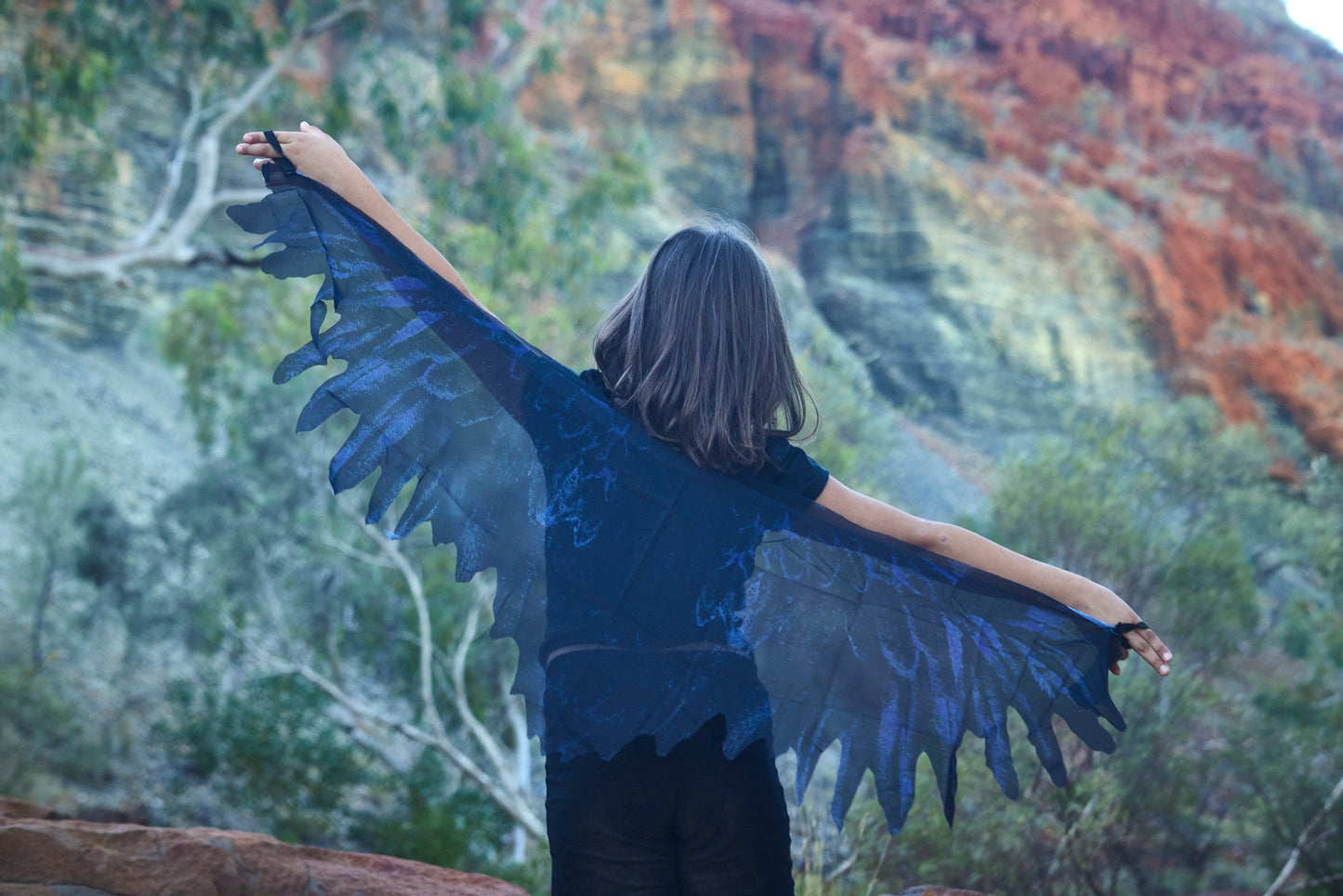 Wangangga Wings (Black Crow)