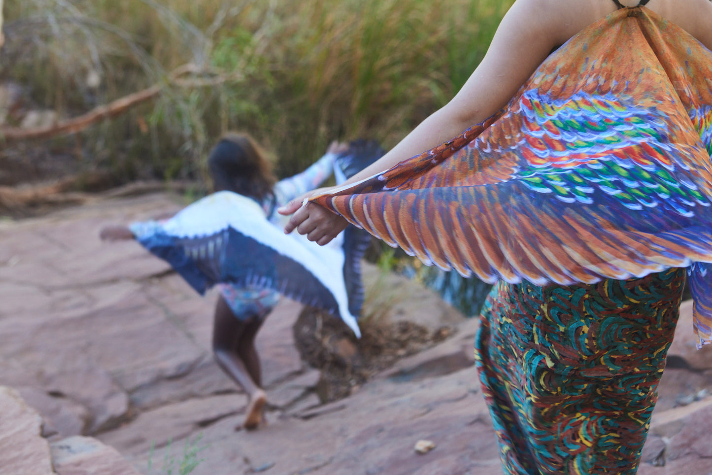Garluju Wings (Bronzewing Pigeon)