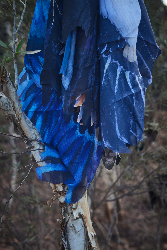 Jiruna (Pelican) Wings