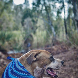 Ngurra Neckerchief- Alice Guiness