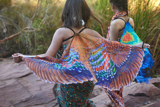 Garluju Wings (Bronzewing Pigeon)