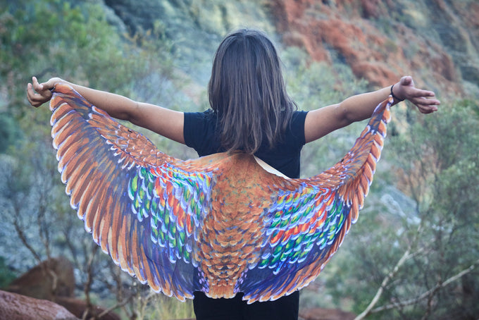 Garluju Wings (Bronzewing Pigeon)