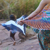 Garluju Wings (Bronzewing Pigeon)