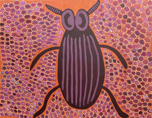 Everything Plays a Role on Country, Even the Tiniest Seeds and Insects