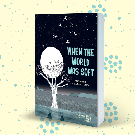 When The World Was Soft Graphic Novel